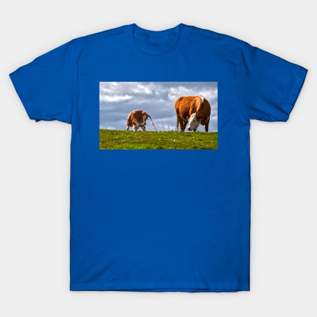 Sometimes all you need is a good scratch - Panorama T-Shirt by Violaman